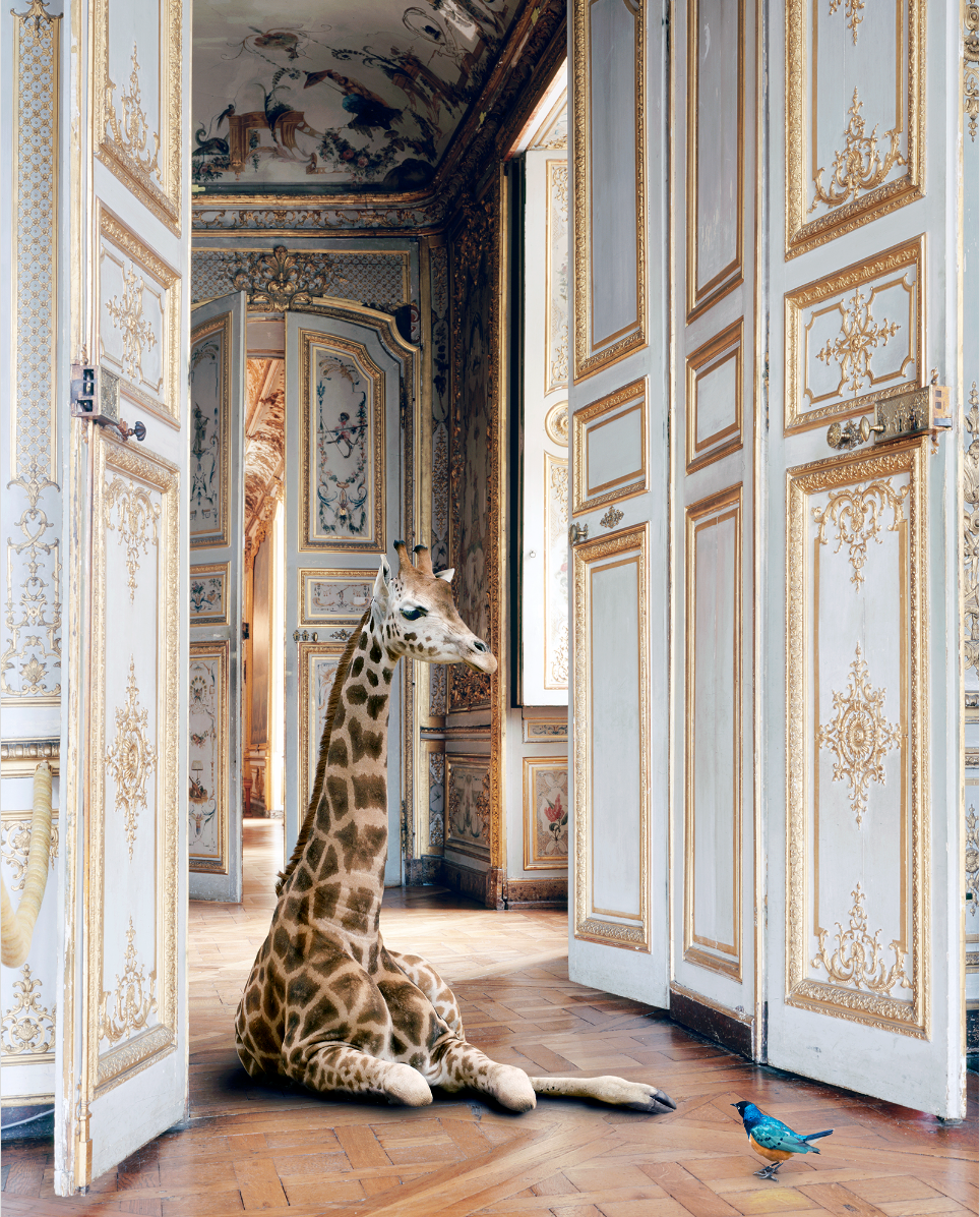 Image: Karen Knorr. Pigment prints printed by Karen Knorr, Hahnemuhle Fine Art Pearl, 8 X 10 inches on 8.3 X 11.7 in, 20.32 X25.4cm on 21.0 X 29.7